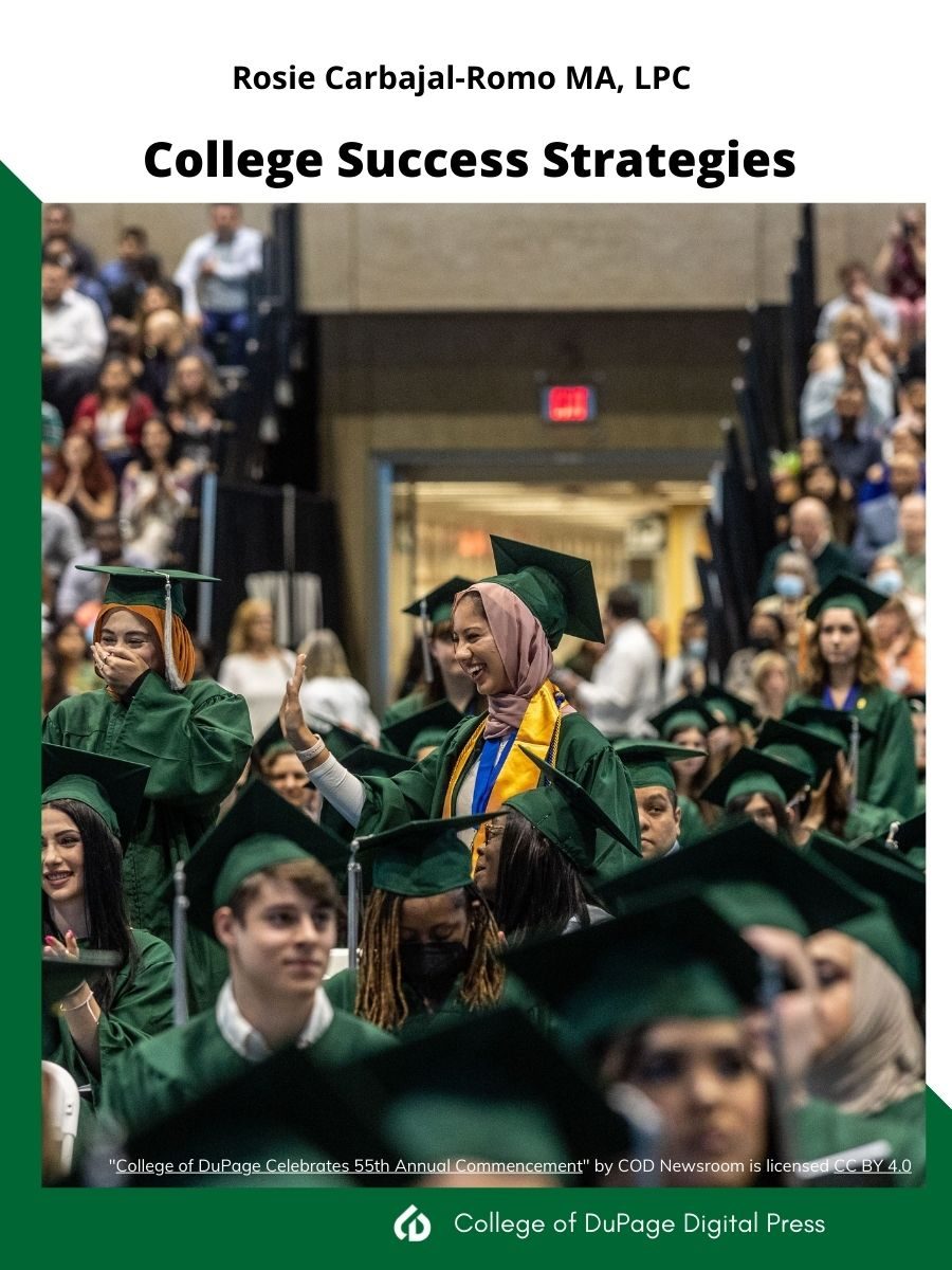 Cover image for College Success Strategies