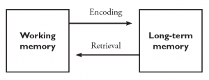 A diagram has two boxes: One for Working memory and one for long-term memory. Working memory is connected to an arrow labeled encoding that points towards long-term memory. An arrow labeled Retrieval is connected to Long-term memory and points towards Working memory