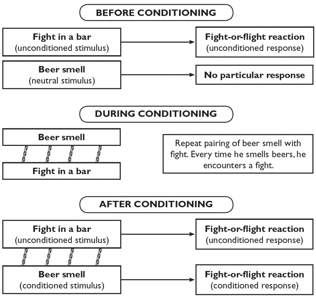 A diagram describing the classical conditioning process. Before conditioning, a fight in the bar (and unconditioned stimulus) leads to a flight-or-flight reaction (unconditioned response). Where as the smell of beer (a neutral stimulus) does not lead to a particular response. During conditioning, the repeat pairing of beer smell with fight. Every time beer is smelled, he encounters a fight. After conditioning, a fight in a bar (unconditioned stimulus) leads to a fight-or-flight reaction (uncondiitioned response) and the beer smell (now a conditioned stimulus) leads to a fight-or-flight reaction (a conditioned response).