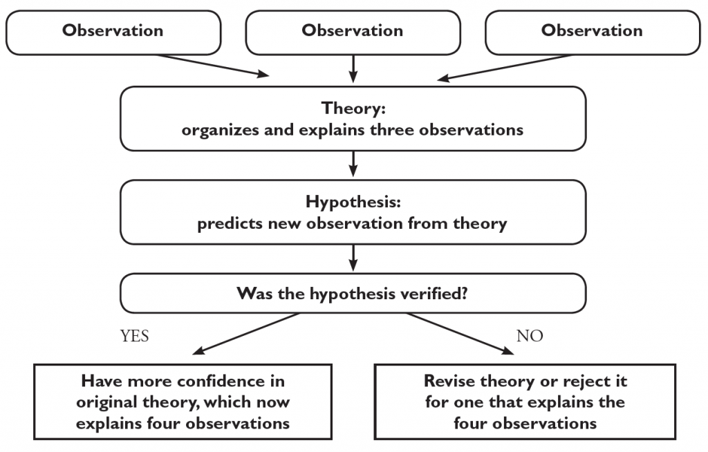 The figure is a flow chart with eight labeled boxes linked by arrows describing the relationship between observation, hypothesis, and theory. Three observations lead to a theory. The theory leads to a hypothesis. The hypothesis leads to the question: was the hypothesis verified? If yes, you will have more confidence in original theory, which now explains four observations. If no, revise the theory or reject it for one that explains the four observations.