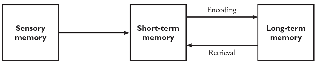 A diagram with three text boxes. The first box is labeled sensory memory and an arrow connects it to the second box labelled short-term memory. An arrow labelled encoding extends from this box extends to the third box labelled long-term memory. A second arrow labelled retrieval extends from long term memory back to short-term memory.