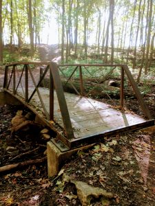 A bridge in a wooded area