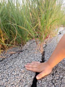 A child's hand touches the ground over a crack in the pavement.