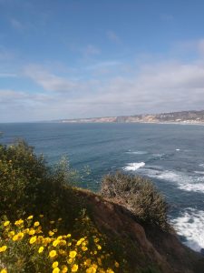 A view of the Pacific Ocean from a cliffside outside San Diego, California.