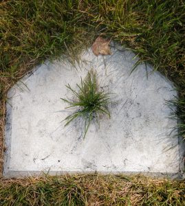 A baseball home plate with a tuft of grass growing through the middle.
