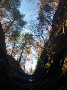 View from a canyon looking up to the sky at Starved Rock State Park in Illinois.