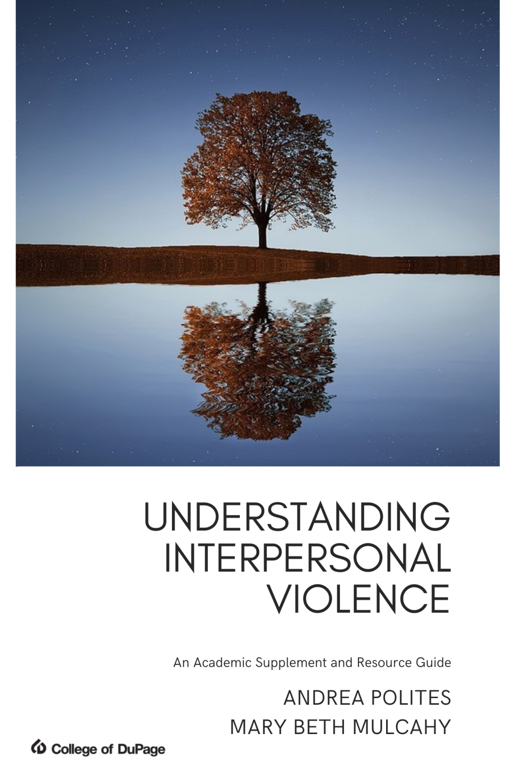 Cover image for Understanding Interpersonal Violence: An Academic Supplement and Resource Guide