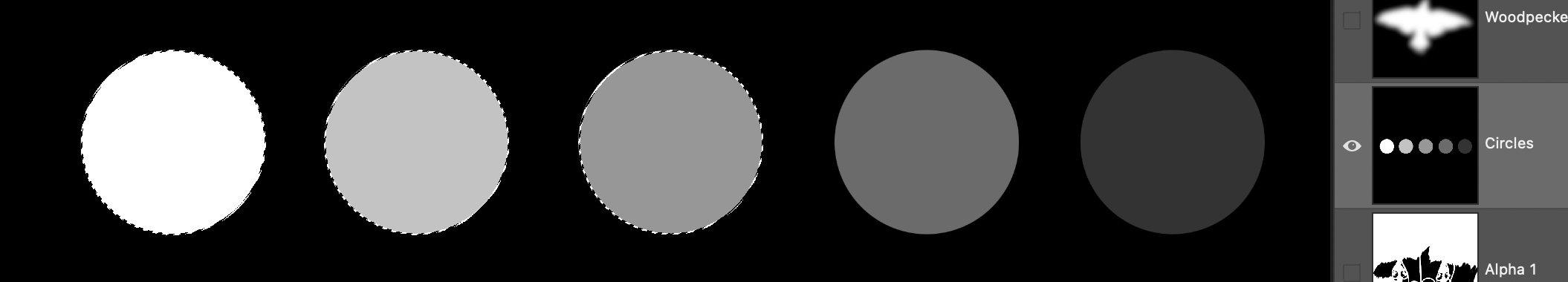 A series of circles saved as an Alpha Channel.