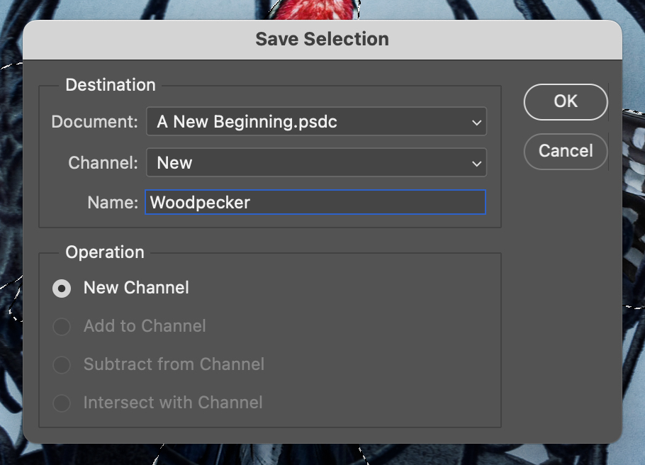 Save Selection options.