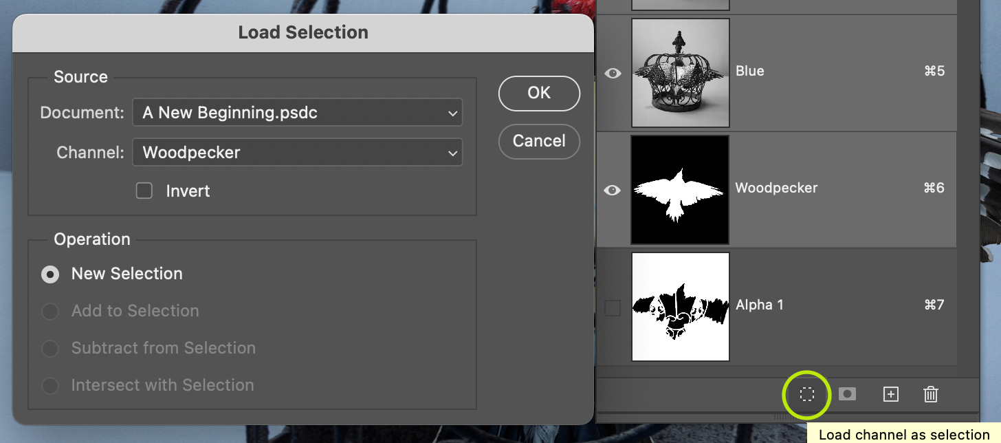 Options for the Load Selection dialog box.