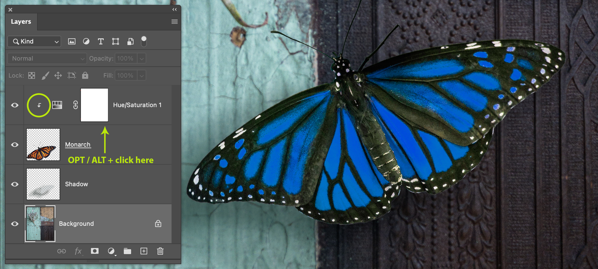 A clipped Adjustment Layer added to the Monarch layer.