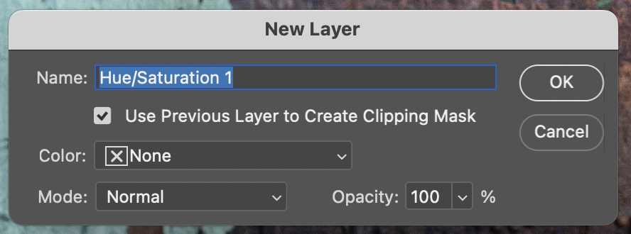 The New Layer dialog box.