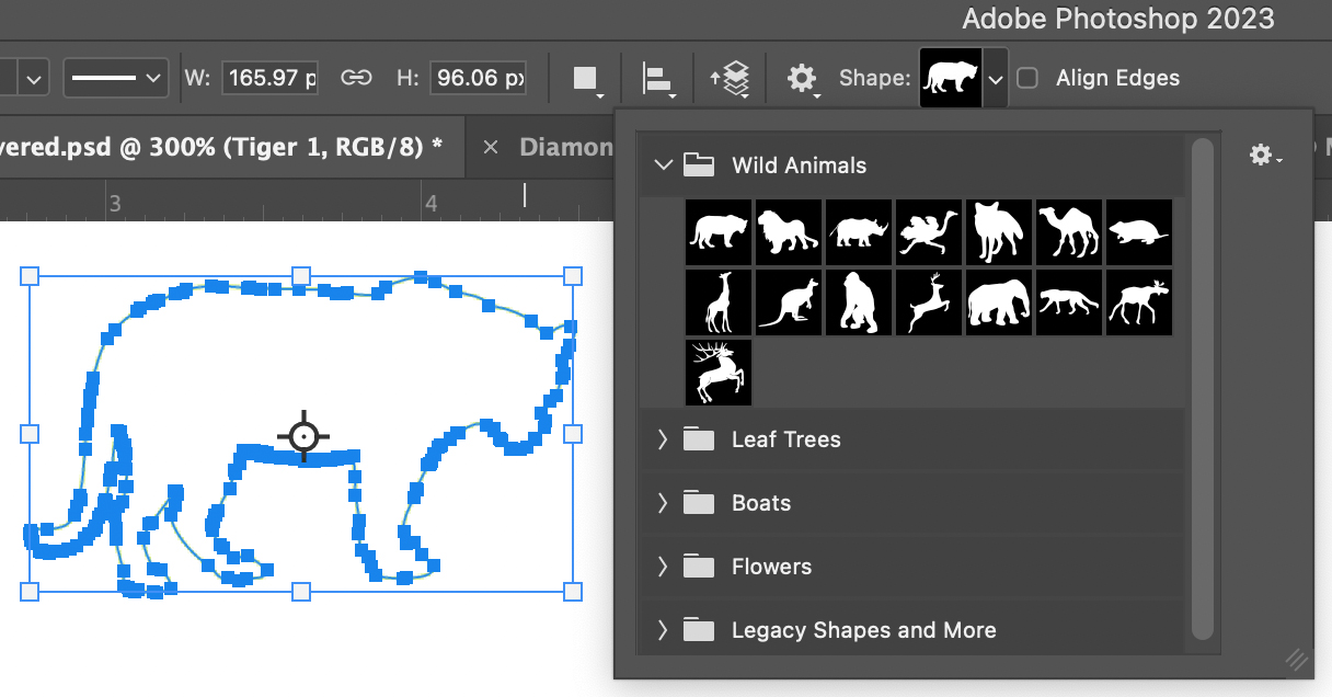 The Custom Shape Tool options.