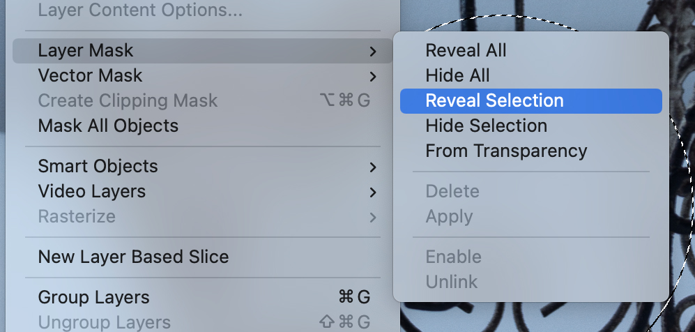 The Layer Mask menu options.