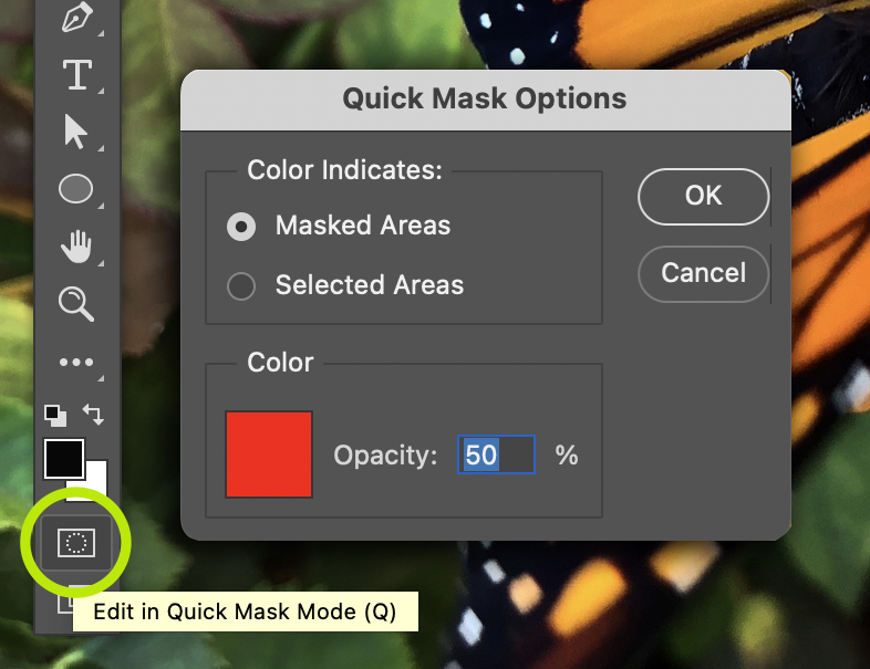The Edit in Quick Mask Mode Options.