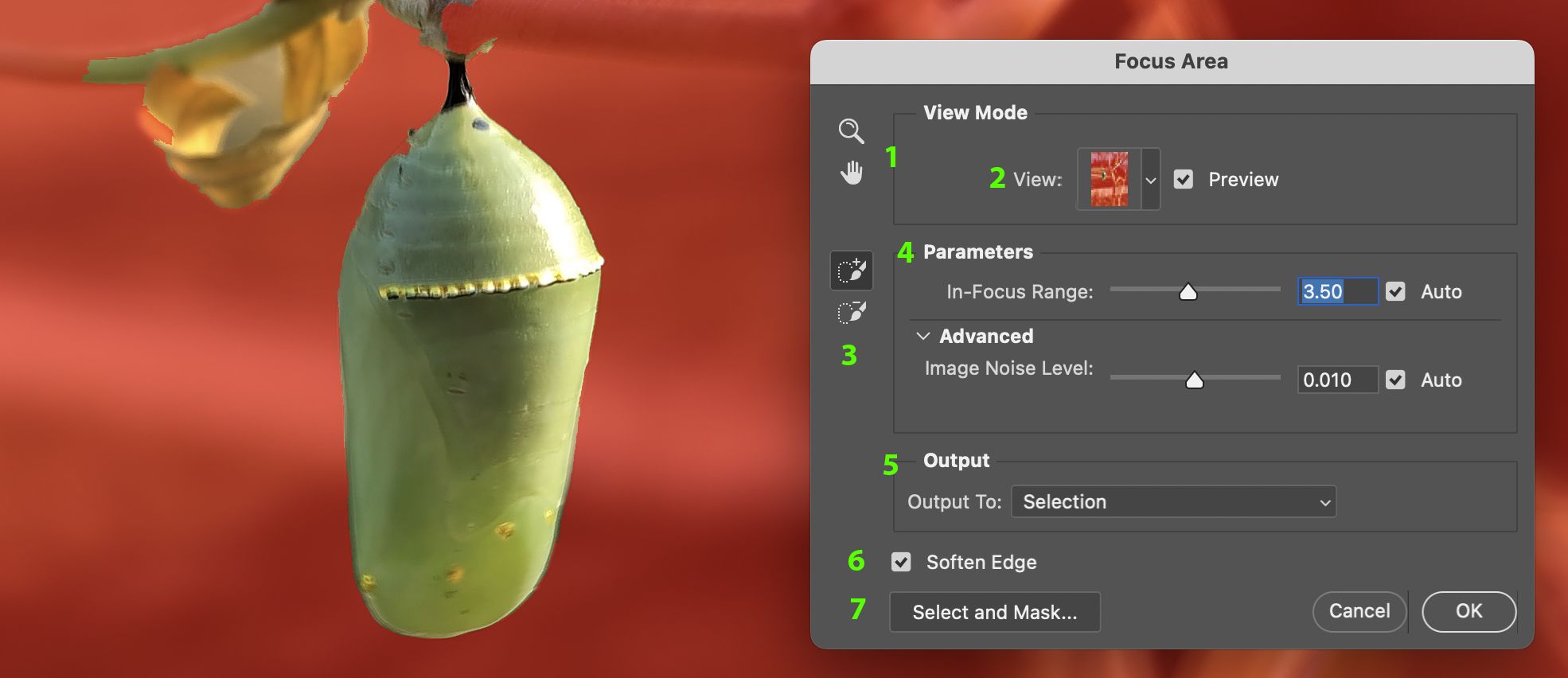 The Focus Area settings.