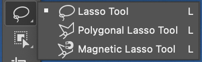 The lasso tools on the Toolbar.