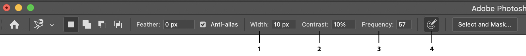 Options for the Magnetic Lasso Tool.