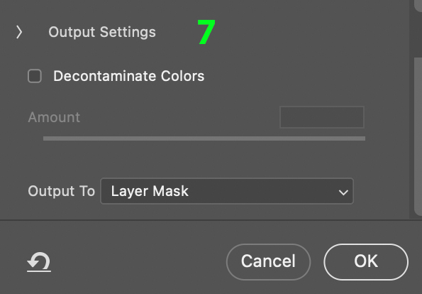 The Output Settings options.