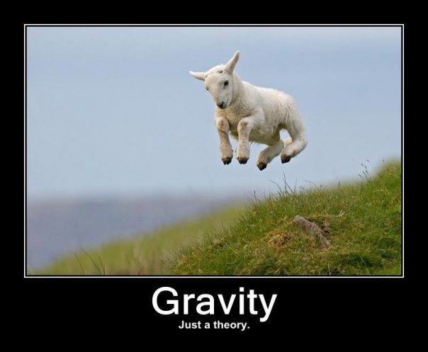 A goat appears to be levitating in air over a grassy field. Text in the bottom portion of the image states: "Gravity, just a theory."
