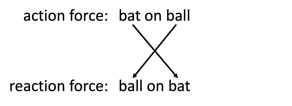 The words "action force: bat on ball" and "reaction force: ball on bat" are written out. An arrow links the word bat in the action force with the word bat in the reaction force. A second arrow links the word ball in the action force to the word ball in the reaction force.