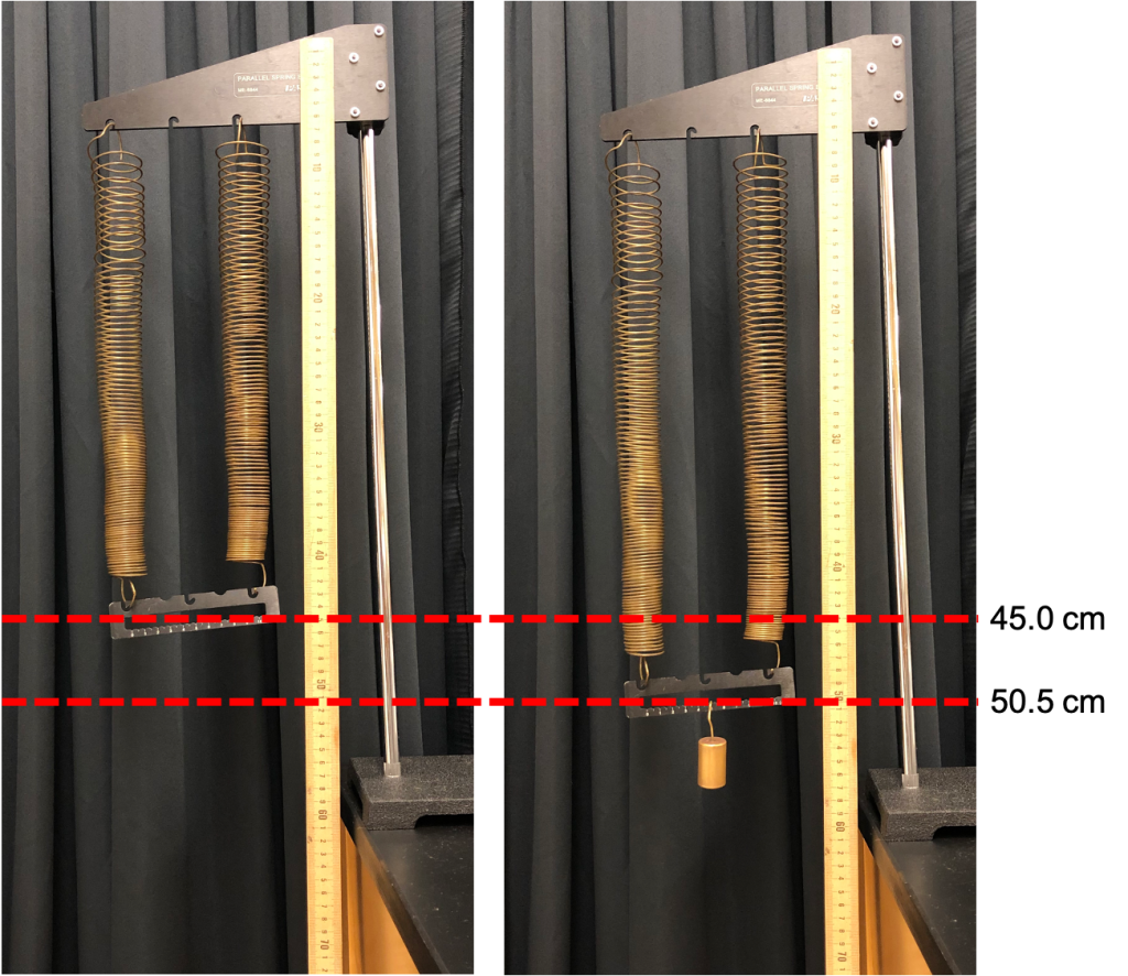 Two photographs. The photograph on the left shows two parallel springs: two identical springs connected side-by-side. They are connected to a ring stand and positioned next to a meter stick for measurement purposes. The bottom of the bottom spring is positioned at 45.0 cm on the meter stick. The photograph on the right shows the parallel springs now with a 100 g mass placed on the bottom. The bottom of the bottom spring is now at the 50.5 cm position on the meter stick.