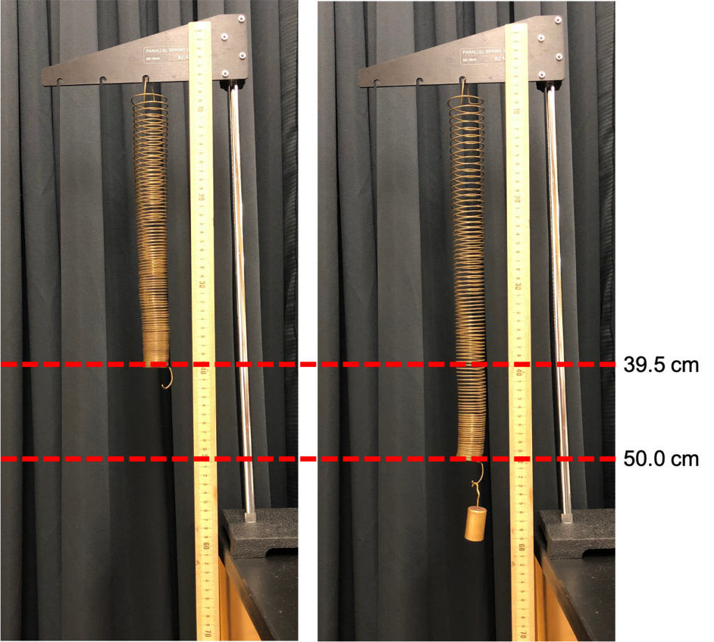 Two photographs. The photograph on the left shows a single spring hanging from a ring stand. A meter stick is stuck to the ring stand to use for measuring displacements. The bottom of the spring is at the 39.5 cm position. The photograph on the right shows the single spring now with a 100 g mass placed on the bottom. The bottom of the spring is now at the 50.0 cm position on the meter stick.