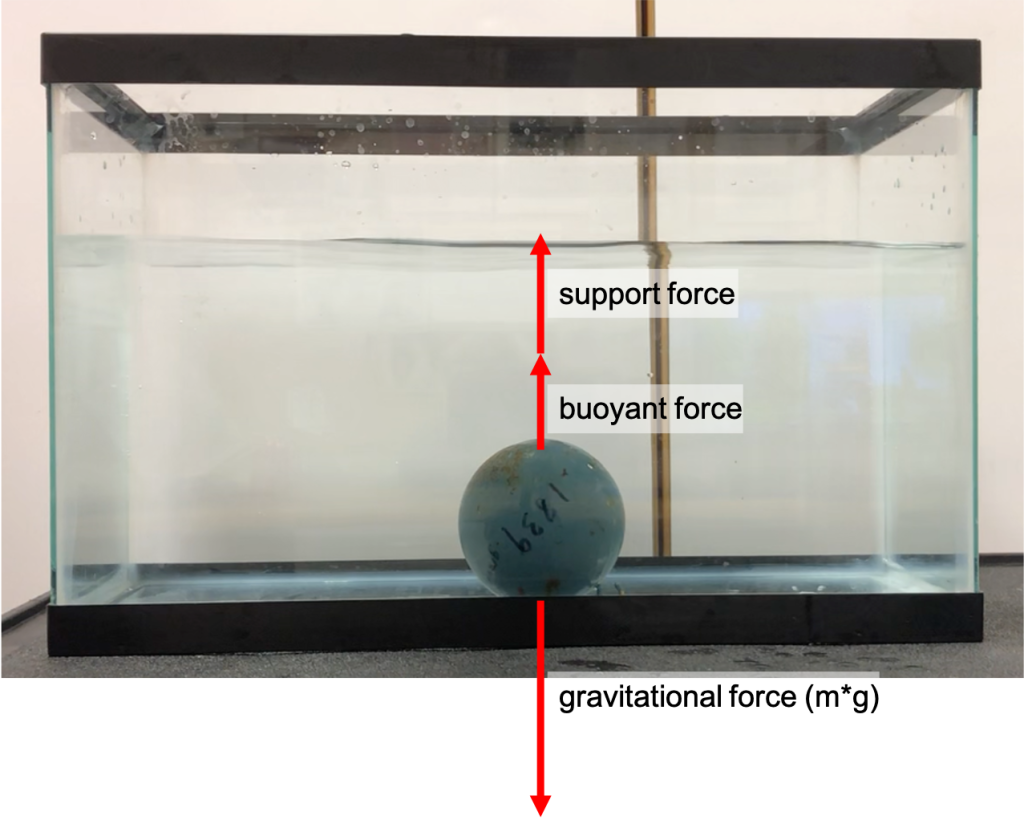 A photograph of an iron sphere submerged into a fish tank. Three arrows annotated on the photograph depict the forces on the sphere. Weight (from gravity) points downward. Two upward forces are the buoyant force and the support force. The sum of the two upward forces is equal in magnitude to the magnitude of the force of gravity.