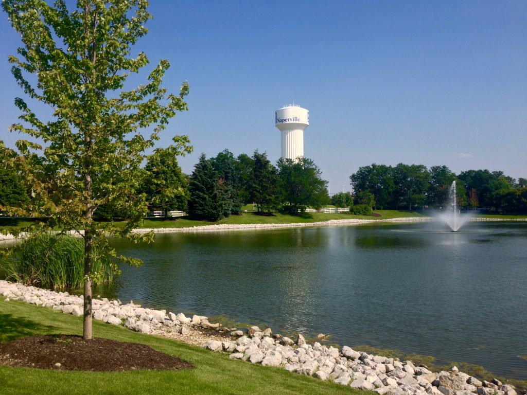 A photograph of a pond ringed by grass and surrounded by trees. In the distance is a water tower labeled "Naperville."
