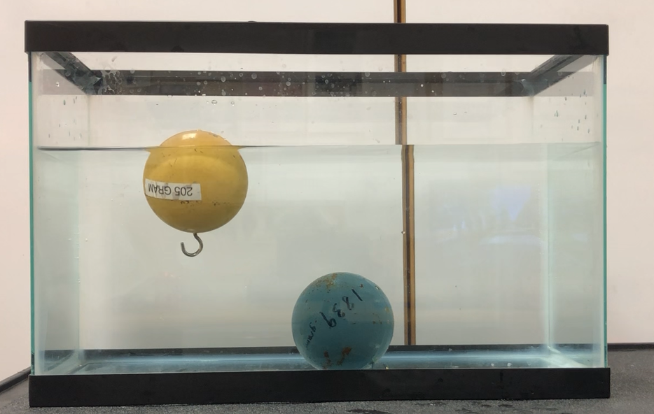 A photograph of a fish tank filled with water. Inside are two spheres of identical volumes. A wooden sphere floats about 80% submerged in the water. An iron sphere is completely submerged and is resting at the bottom of the fish tank.