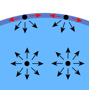 A volume of water is depicted with intermolecular forces indicated at several spots. Along the surface of the water, there are no upward forces not cancelled out by other intermolecular forces. This creates the force of surface tension.