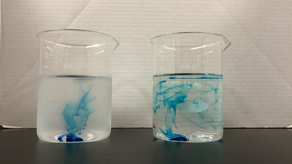 A photograph of two beakers of water. The beaker on the left contains cold water and the beaker on the right contains hot water. Both beakers contain a droplet of blue food dye 30 seconds after being dropped into the liquid. It is clear that the food dye has distributed more extensively though the hot water than the cold water. The beaker with cold water appears blurry due to the presence of water vapor that has condensed onto the outside of the beaker.