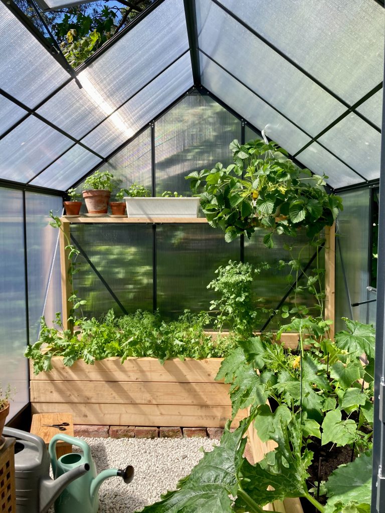 A photograph of a greenhouse with glass walls. There are many green plants inside the greenhouse on wooden shelves and in flower pots.
