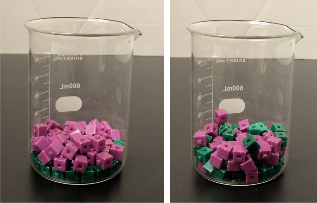 Two photographs of a beaker filled in with a few dozen purple and green cubes. On the left, the cubes have been sorted so that the green cubes are below the purple cubes. On the right, the beaker has been shaken and the cubes are in a random arrangement.
