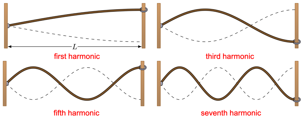 A diagram of the first four harmonics of a standing wave with one fixed end. The first harmonic has one node and one antinode. The third harmonic has two nodes and two antinodes. The fifth harmonic has three nodes and three antinodes. The seventh harmonic has four nodes and four antinodes.