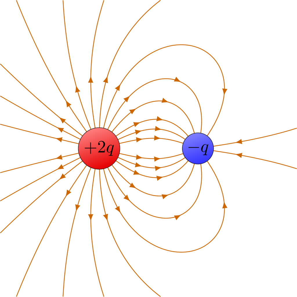 A diagram of the field lines between two attracting point charges.
