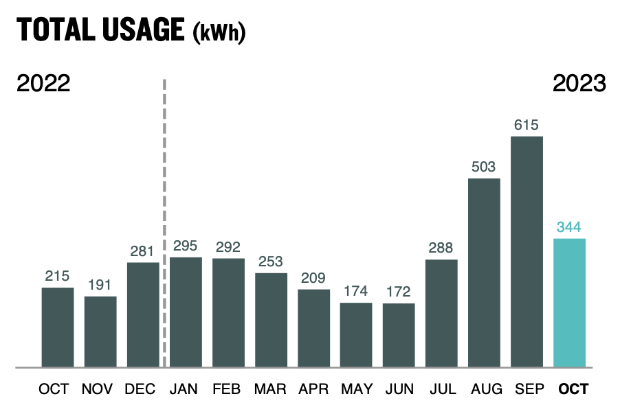 A screenshot of a graph of the electrical energy consumed by Dr. Pasquale in one year, displayed as a bar graph of energy consumption (measured in kilowatt-hours) per month.