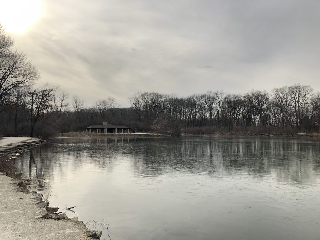 A photograph of a gray overcast sky at Herrick Lake Forest Preserve. The lake is prominent in the foreground of the photograph, and there are trees around the border of the lake.