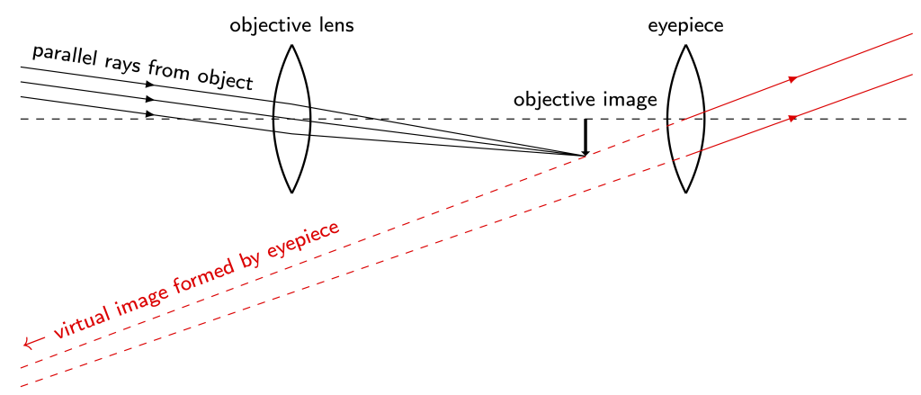 A ray diagram of a refracting telescope. Parallel rays of light from a distant object are focused to an image by a biconvex objective lens. That image then acts as an object by a biconvex eyepiece, which creates a virtual image far away.