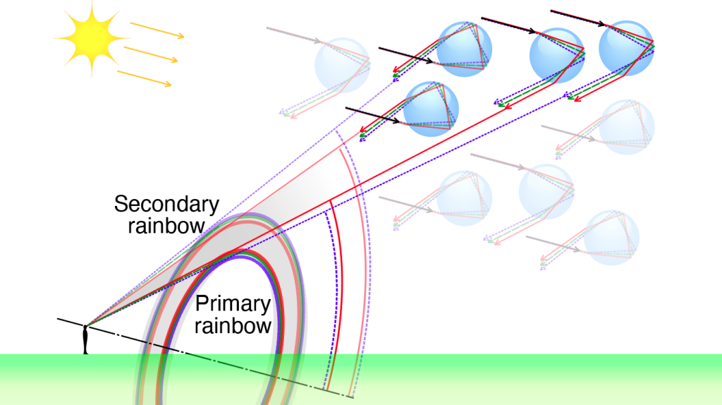 Figure 28.26, described in the text and caption.