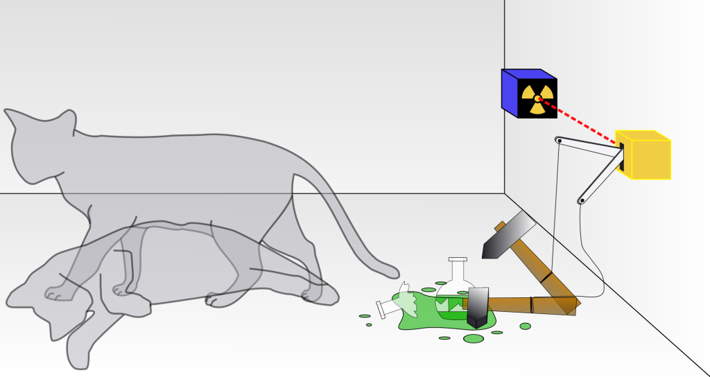 Figure 32.3, described in the caption. The cat appears both alive and dead at the same time.