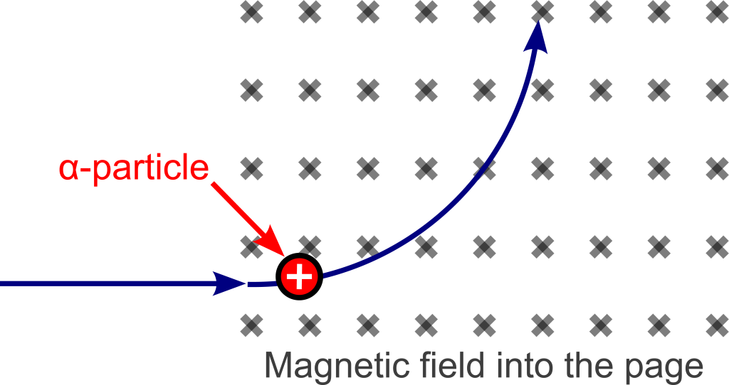 A graphical depiction of an alpha particle deflecting as it moves through a magnetic field. The magnetic field appears as a grid of X symbols depicting it as pointing into the page/screen. An alpha particle moving to the right curves upward as it travels.