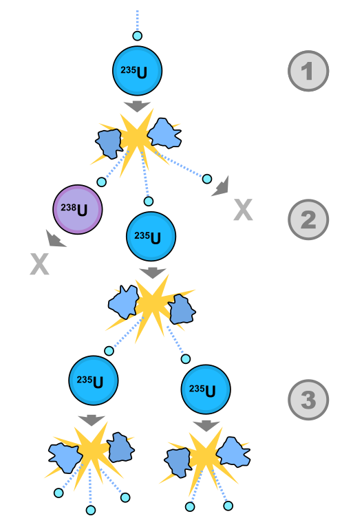 A schematic depcting a nuclear fission chain reaction. 1. A uranium-235 atom absorbs a neutron and fissions into two new atoms (fission fragments), releasing three new neutrons and some binding energy. 2. One of those neutrons is absorbed by an atom of uranium-238 and does not continue the reaction. Another neutron is simply lost and does not collide with anything, also not continuing the reaction. However, the one neutron does collide with an atom of uranium-235, which then fissions and releases two neutrons and some binding energy. 3. Both of those neutrons collide with uranium-235 atoms, each of which fissions and releases between one and three neutrons, which can then continue the reaction.
