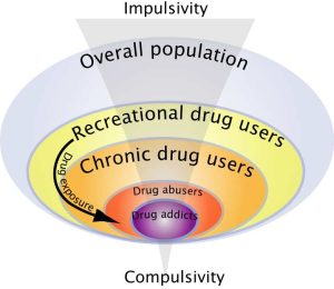 A progressive shift from impulsivity to compulsivity in the development of drug addiction.