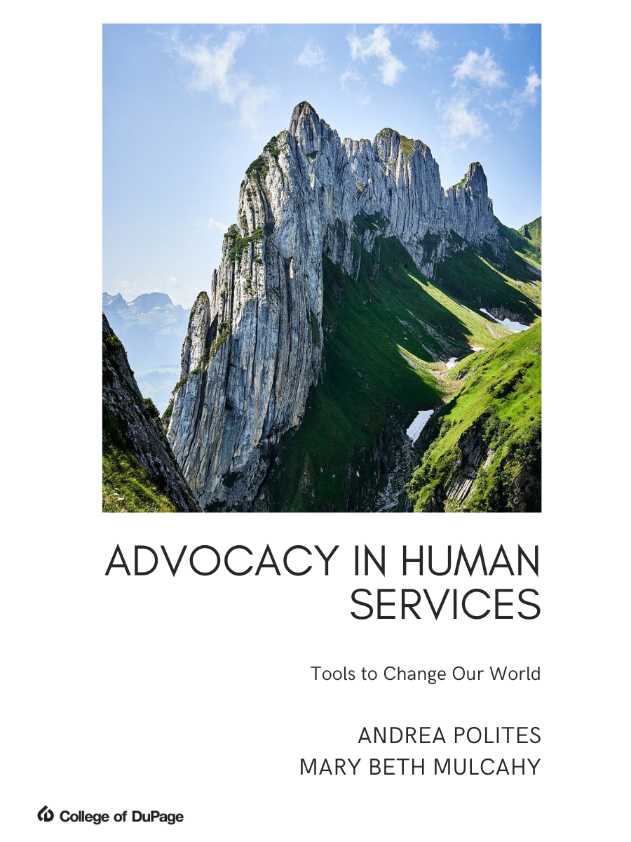 Cover image for Advocacy In Human Services: Tools to Change Our World