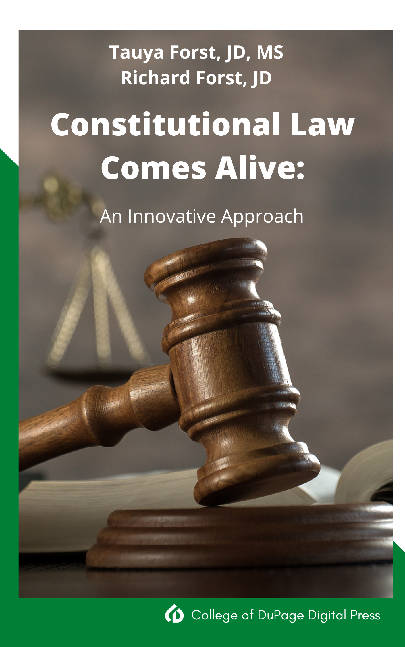 Cover image for Constitutional Law Comes Alive: An Innovative Approach 2e