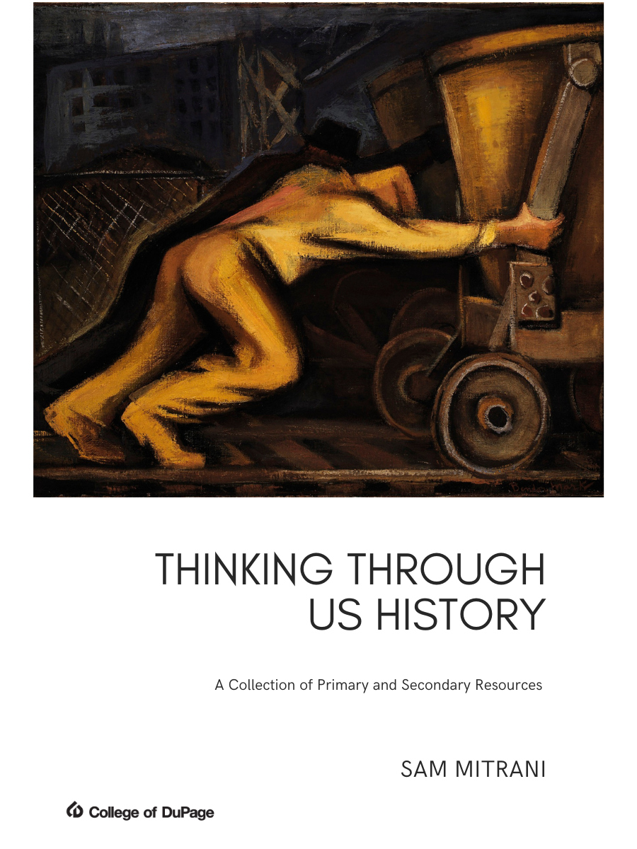 Cover image for Thinking Through U.S. History