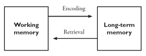 A diagram has two boxes: One for Working memory and one for long-term memory. Working memory is connected to an arrow labeled encoding that points towards long-term memory. An arrow labeled Retrieval is connected to Long-term memory and points towards Working memory