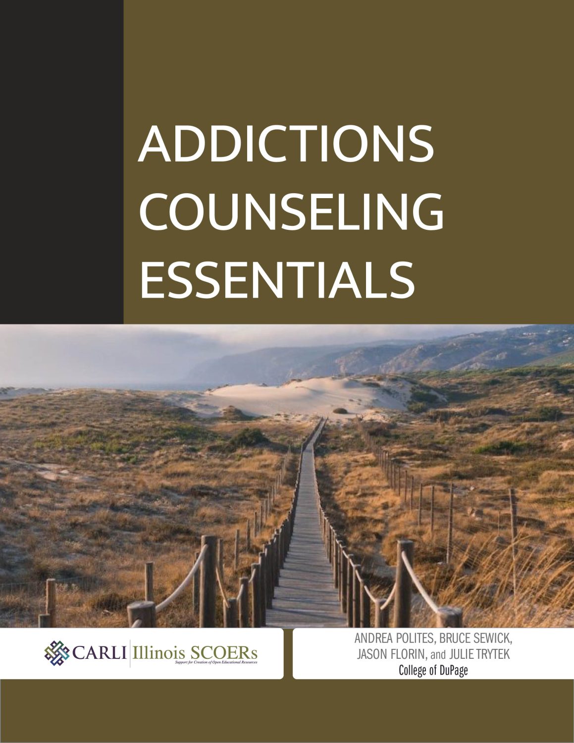 Cover image for Addictions Counseling Essentials