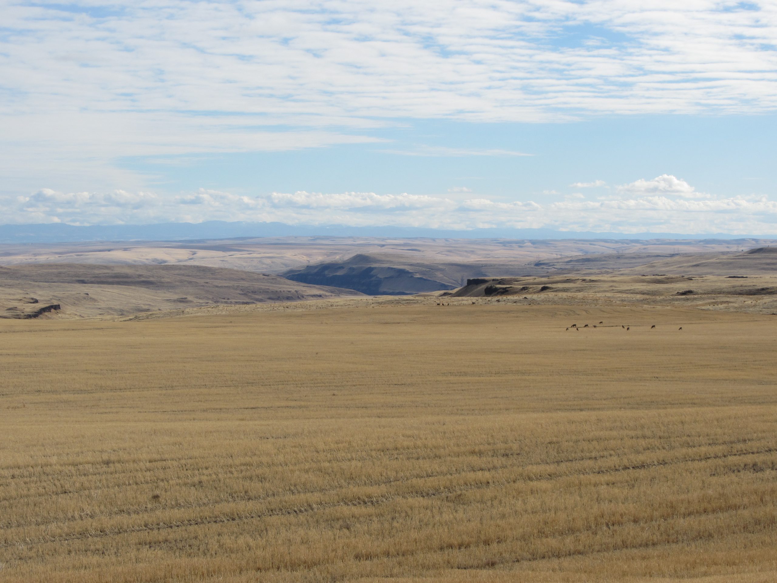 Eastern Washington, the dry side of the Cascade Mountains.